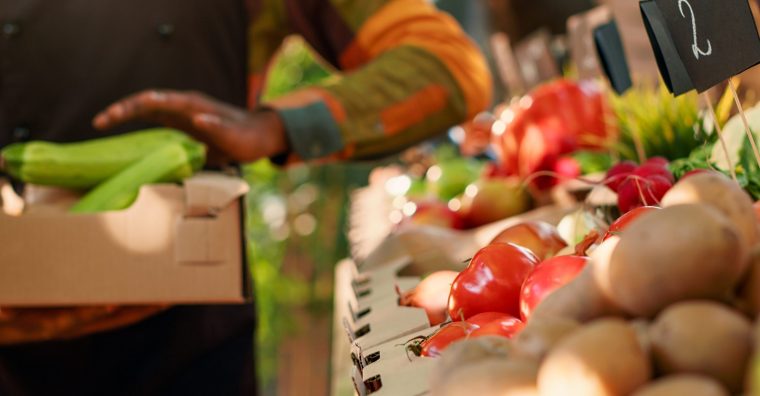 Illustration de l'article Agriculture – La 21e édition de la foire bio