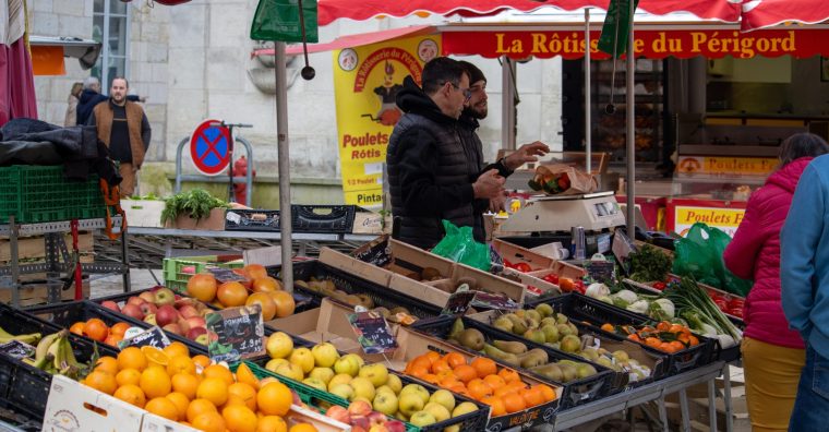 Illustration de l'article Premier marché solidaire de rentrée à Périgueux