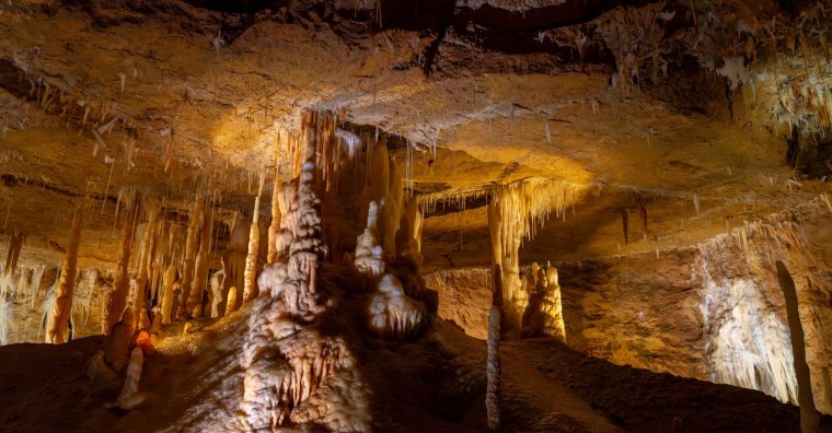 Illustration de l'article Les grottes du monde ont rendez-vous en Dordogne